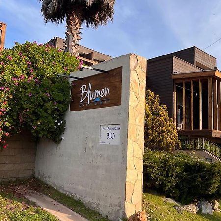 Concón Blumen Hotel מראה חיצוני תמונה