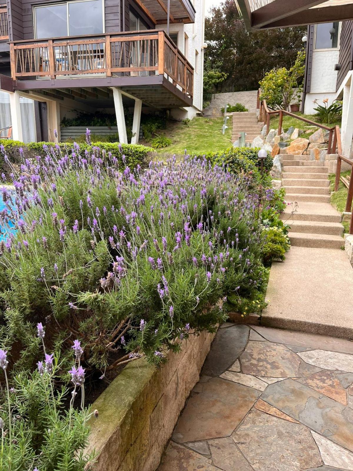 Concón Blumen Hotel מראה חיצוני תמונה